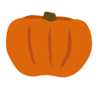 オレンジ色のかぼちゃ(南瓜)