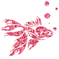 金鱼-流金彗星和金水草