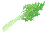 水菜-白黒-カラー